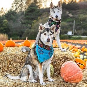 Meet your Posher, Debra